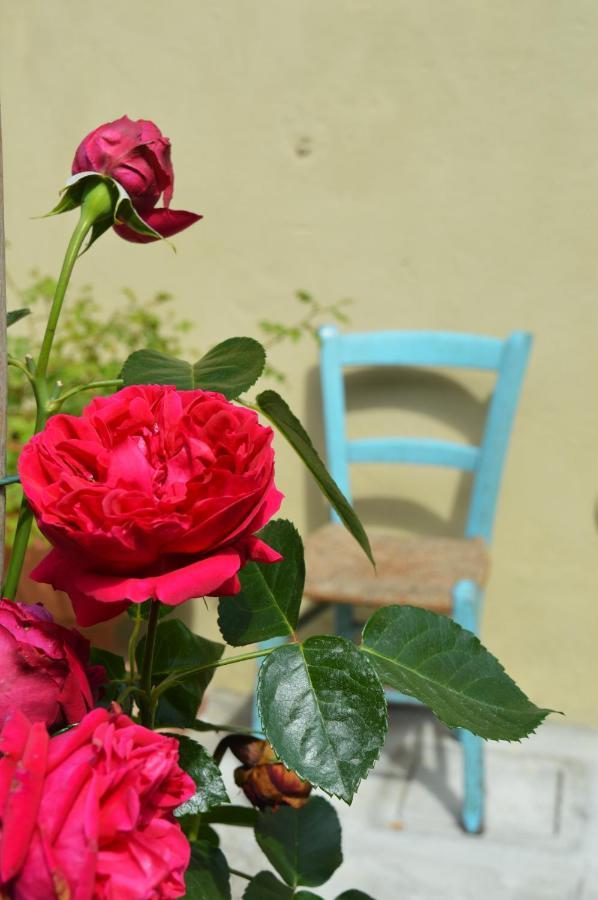 B&B Lady Cocca Savio di Ravenna Exterior photo
