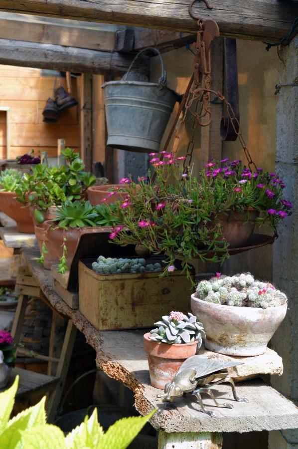 B&B Lady Cocca Savio di Ravenna Exterior photo