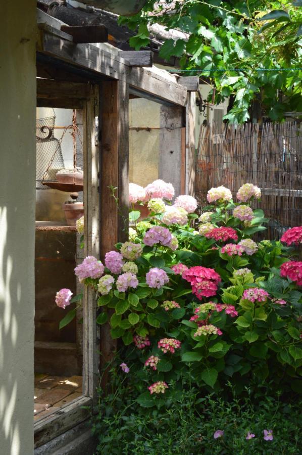 B&B Lady Cocca Savio di Ravenna Exterior photo