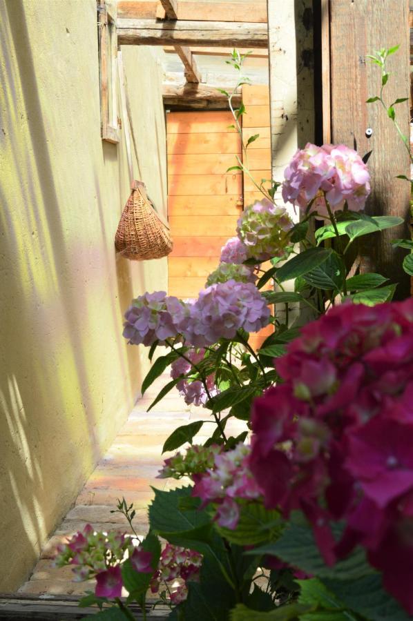 B&B Lady Cocca Savio di Ravenna Exterior photo